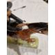 Beswick pottery model of a horse and rider jumping a fence, printed black marks, the female rider - Image 12 of 17