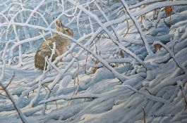 Robert Bateman A winter snowy scene with a rabbit hiding in the undergrowth Limited edition print,
