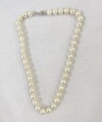 String of modern pearls on white metal clasp