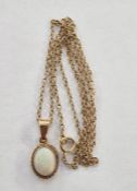 Gold and opal pendant, the oval stone with rope border, on fine 9ct gold chain