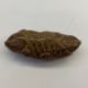 Japanese carved wood netsuke in the form of a seated foal, 4cm high and another in the form of a - Image 4 of 5