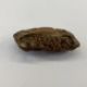 Japanese carved wood netsuke in the form of a seated foal, 4cm high and another in the form of a - Image 3 of 5
