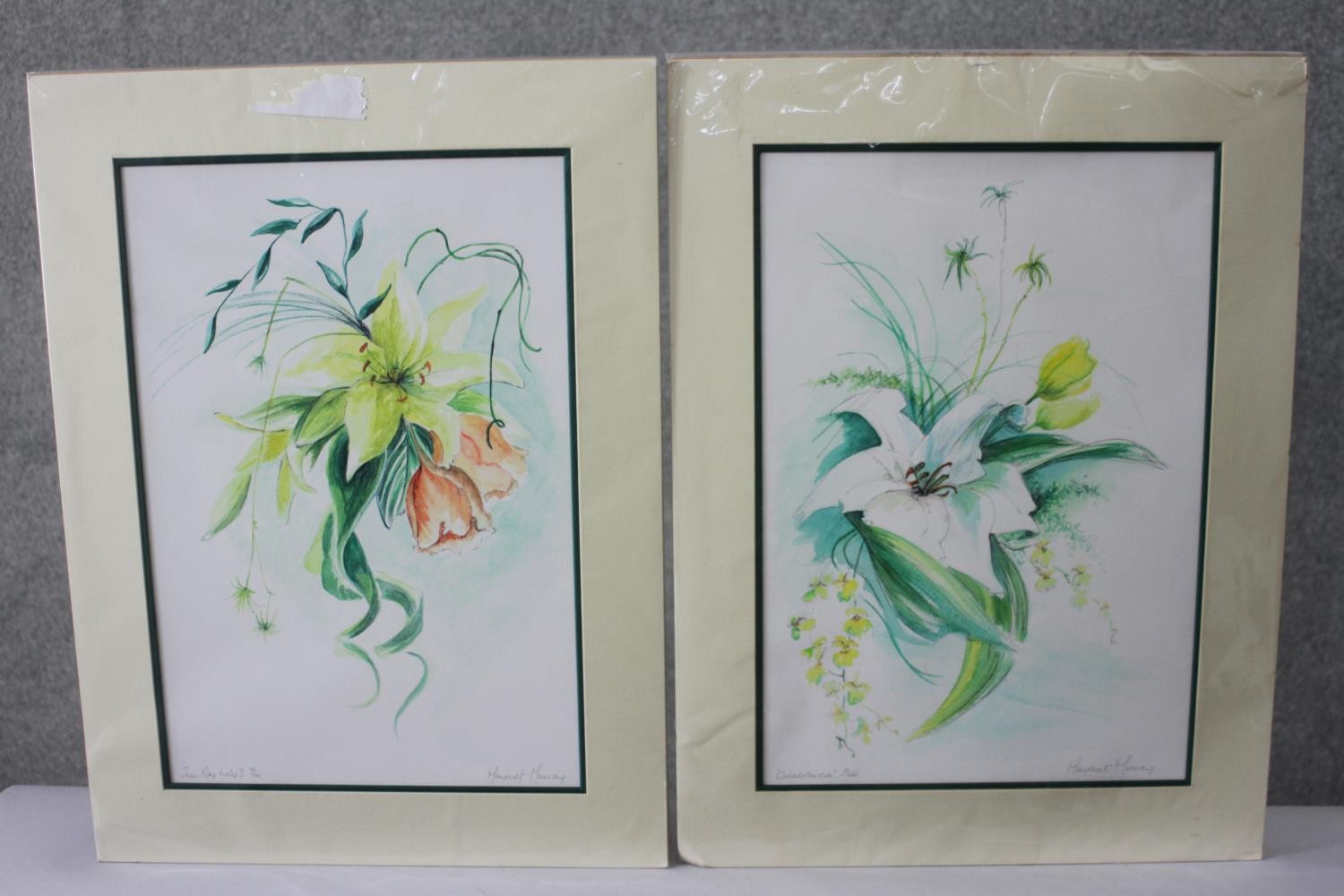 Margaret Murray- Two signed prints of floral compositions. Signed by artist. 'Sunray Lily 1' and ' - Image 2 of 12
