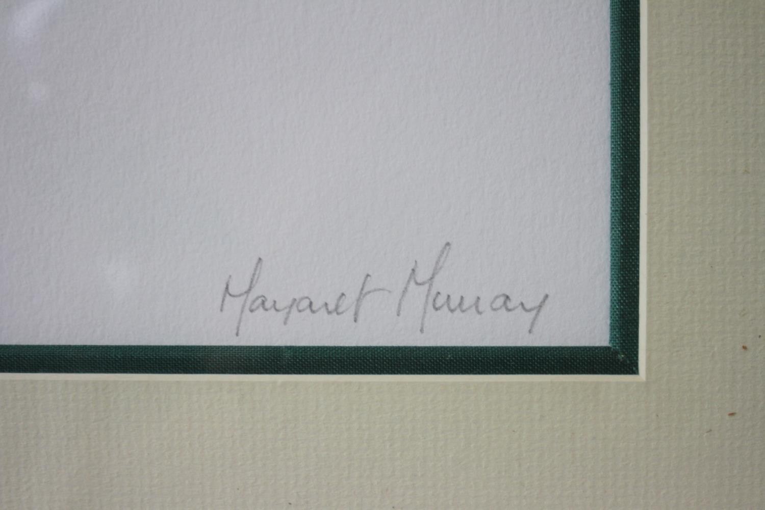 Margaret Murray- Two signed prints of floral compositions. Signed by artist. 'Sunray Lily 1' and ' - Image 8 of 12