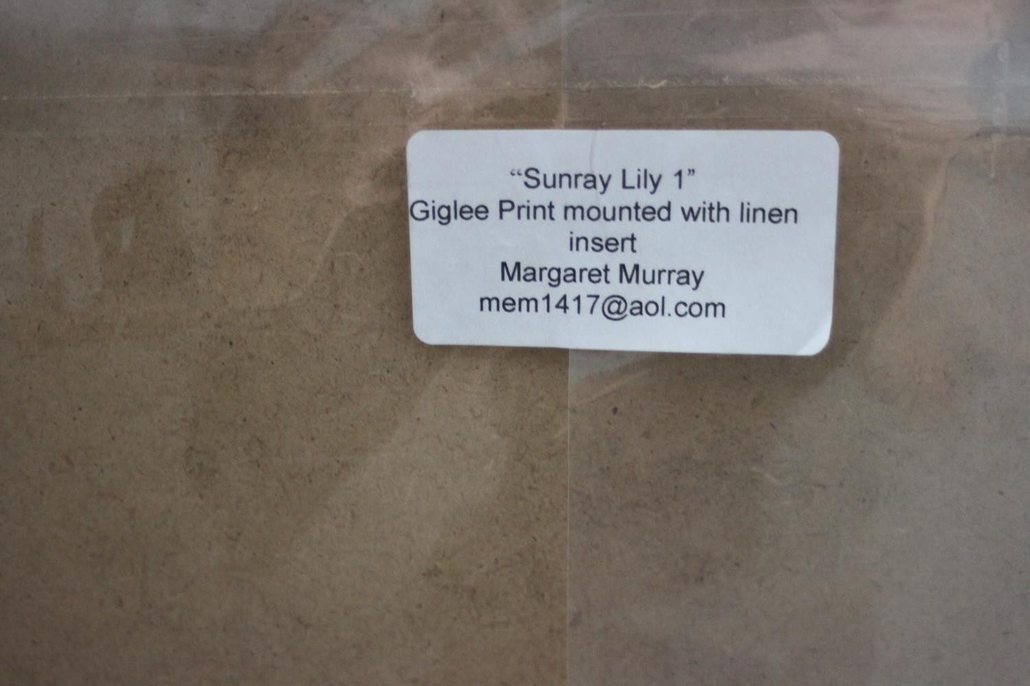 Margaret Murray- Two signed prints of floral compositions. Signed by artist. 'Sunray Lily 1' and ' - Image 9 of 12