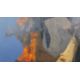 Alfred Harris- A large framed acrylic and paper on panel, titled 'Edge of Light', inscribed verso. - Image 4 of 7