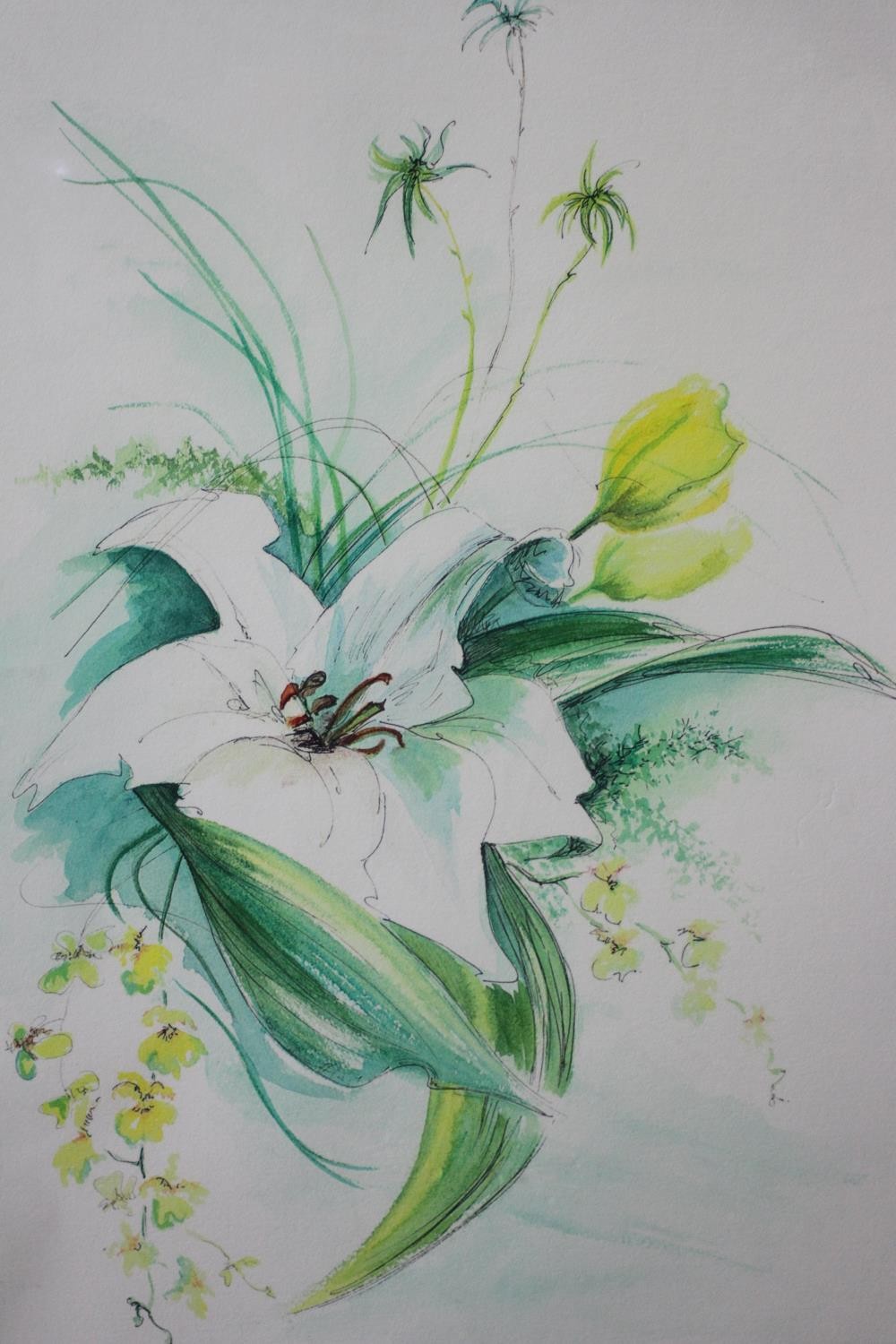 Margaret Murray- Two signed prints of floral compositions. Signed by artist. 'Sunray Lily 1' and ' - Image 3 of 12