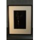 Anderson & Low (1988)- A framed and glazed toned silver gelatin print `National Danish Gymnastics - Image 1 of 5