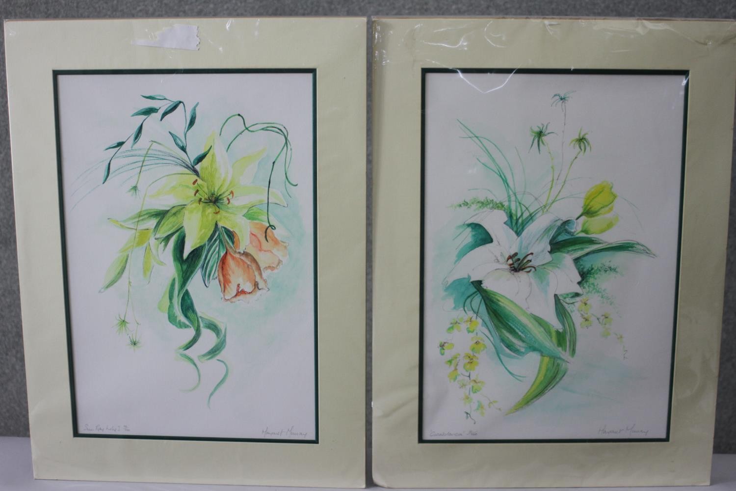 Margaret Murray- Two signed prints of floral compositions. Signed by artist. 'Sunray Lily 1' and '
