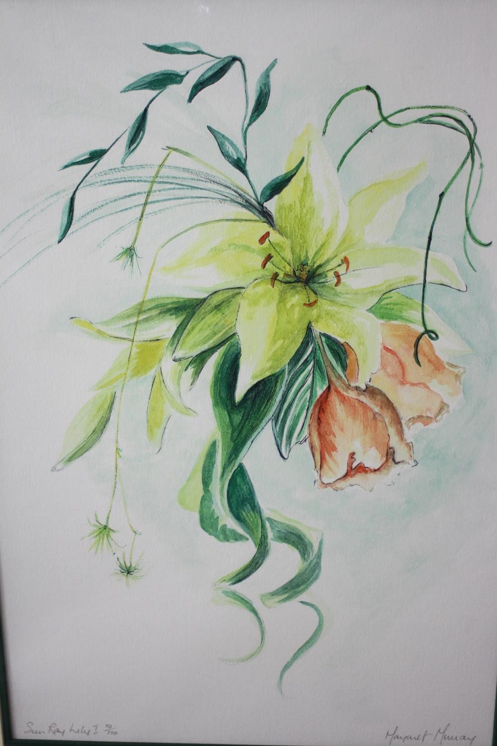 Margaret Murray- Two signed prints of floral compositions. Signed by artist. 'Sunray Lily 1' and ' - Image 6 of 12