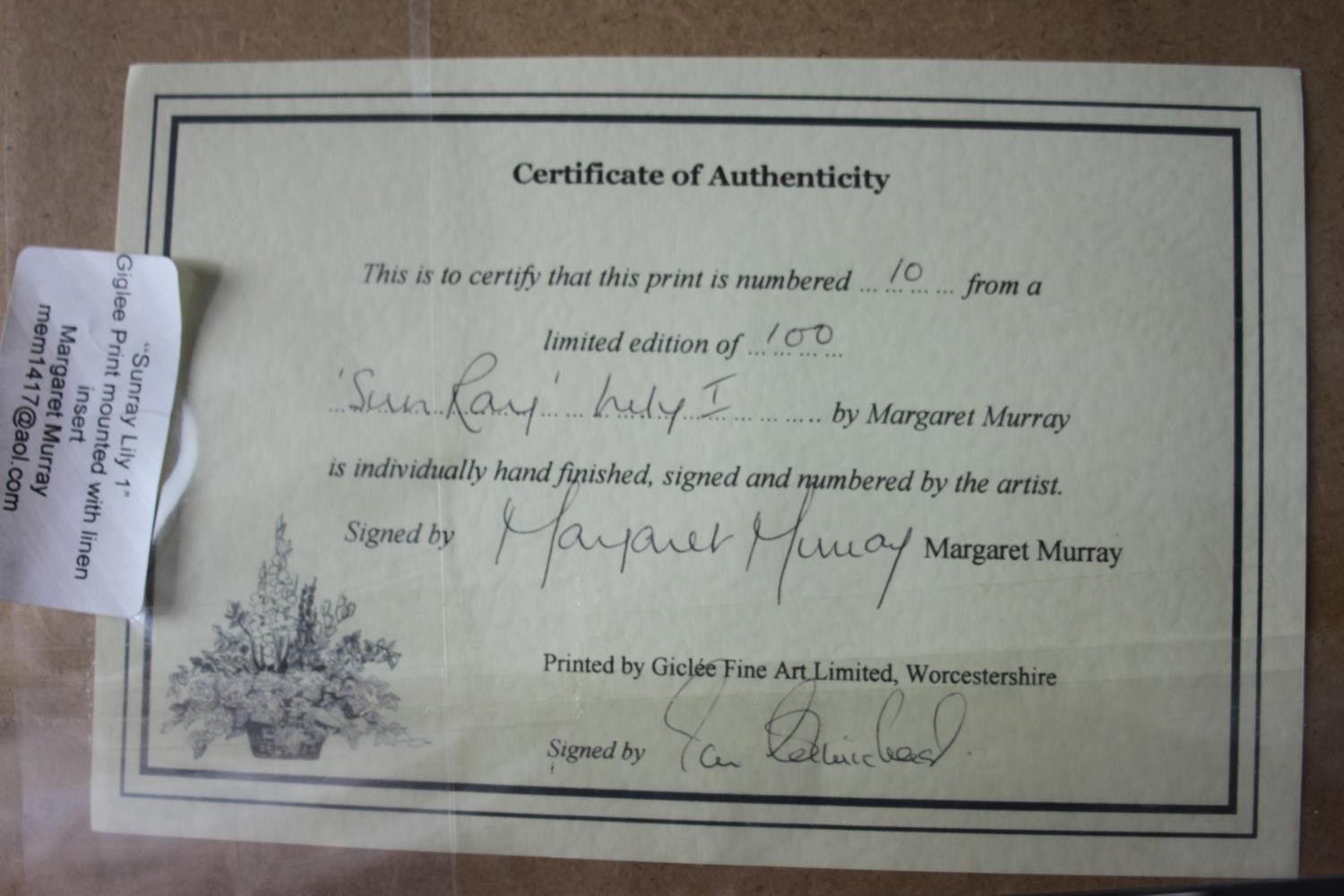 Margaret Murray- Two signed prints of floral compositions. Signed by artist. 'Sunray Lily 1' and ' - Image 11 of 12