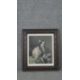 A framed and glazed 18th century hand coloured engraving of a female in smart dress. Published - Image 2 of 5