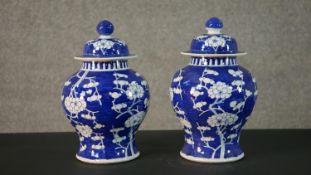 A pair of 19th century blue and white hand painted Chinese prunus blossom design lidded ginger jars,