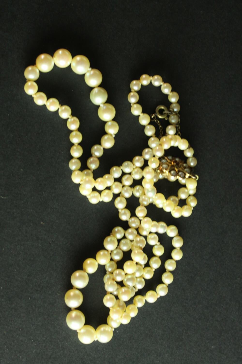 A red velvet cased antique double strand knotted graduated cultured pearl necklace. It fastens - Image 2 of 8