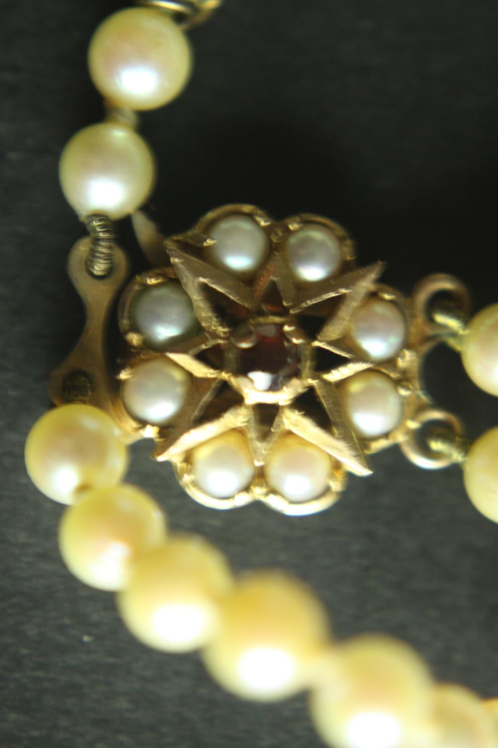 A red velvet cased antique double strand knotted graduated cultured pearl necklace. It fastens - Image 5 of 8