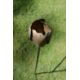 A set of six stainless steel plant stake garden sculptures with rustic rose heads. H.90cm 80-120 - Image 5 of 6