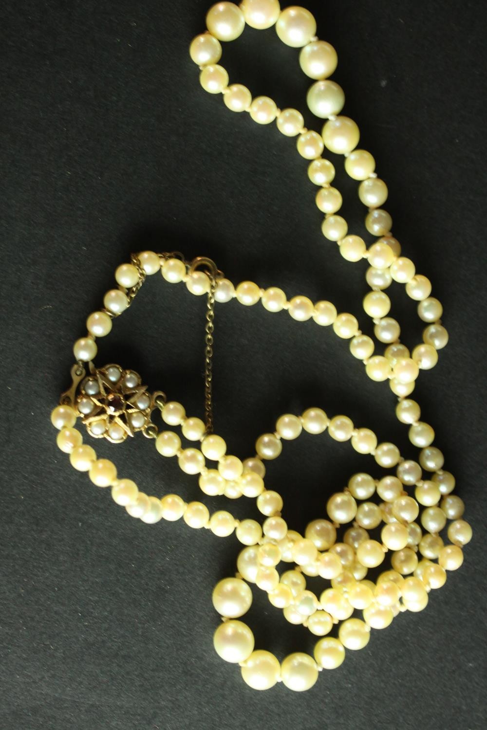 A red velvet cased antique double strand knotted graduated cultured pearl necklace. It fastens - Image 3 of 8