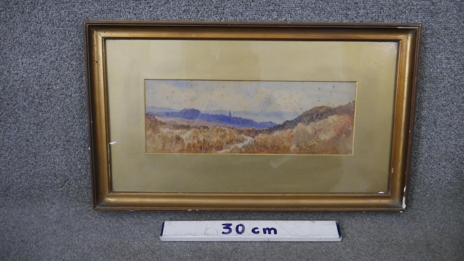 A collection of five 19th century watercolors, three of landscapes , one of a herbaceous border - Image 4 of 16