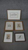 A collection of five 19th century hand coloured engravings, including a bird, a fish an two of