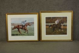 A limited edition signed colour print after Amanda Gooseman 