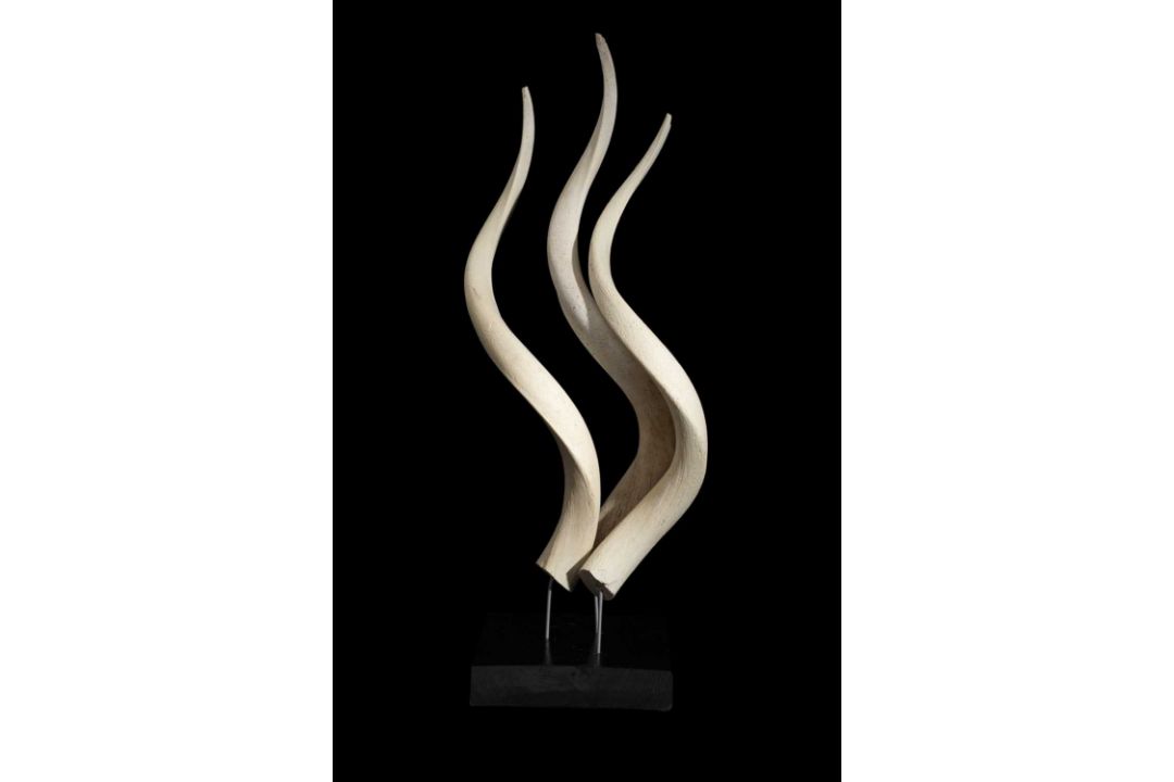 AN ABSTRACT GROUPING OF ANTELOPE HORNS - Image 2 of 2