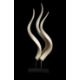AN ABSTRACT GROUPING OF ANTELOPE HORNS - Image 2 of 2