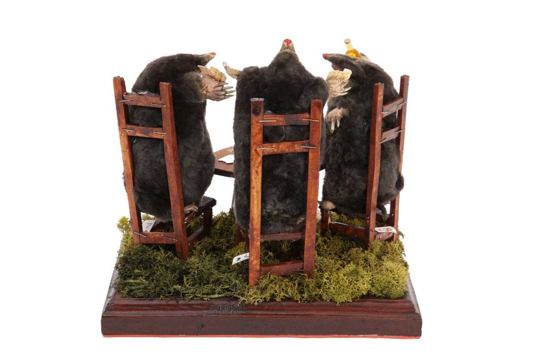 A TAXIDERMY ANTHROPOMORPHIC GROUP OF MOLES PLAYING CARDS - Image 2 of 2