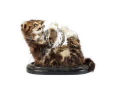 A TAXIDERMY KITTEN PLAYING WITH A GLASS BALL