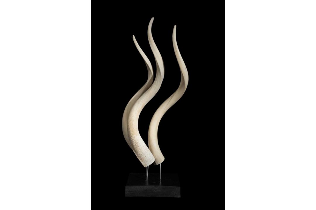 AN ABSTRACT GROUPING OF ANTELOPE HORNS - Image 1 of 2