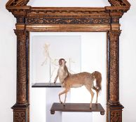 A TAXIDERMY FULL MOUNT 'CENTAUR'
