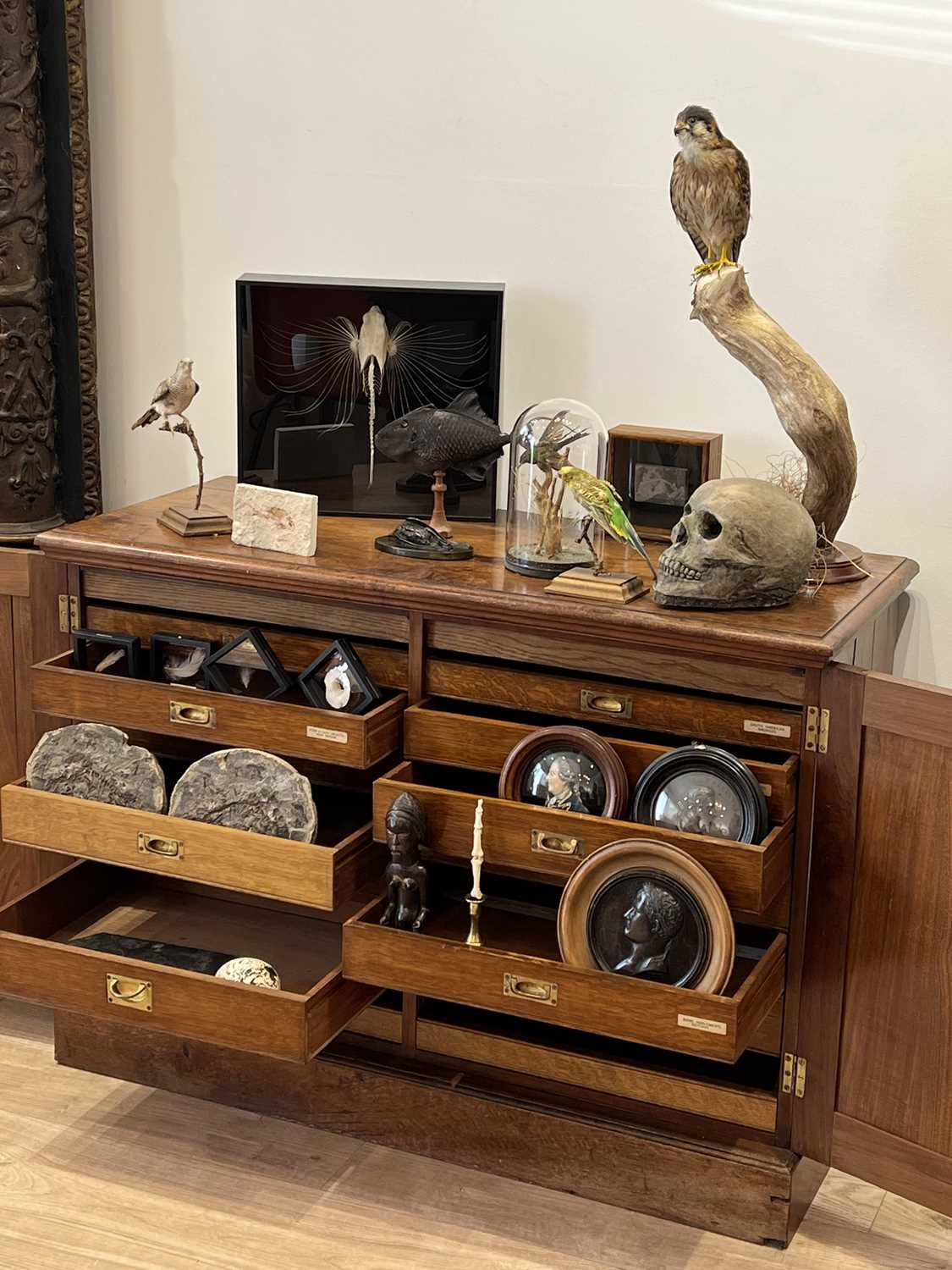 A 19TH CENTURY MAHOGANY COLLECTOR'S CABINET - Image 4 of 4
