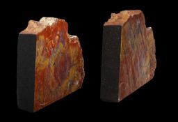 A PAIR OF FOSSILISED WOOD BOOK ENDS