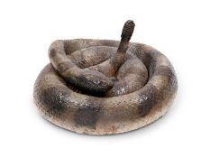 A TAXIDERMY RATTLE SNAKE (CROTALUS)