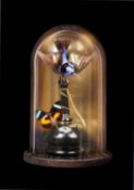 A TAXIDERMY SUNBIRD AND BUTTERFLY UNDER A GLASS DOME