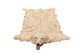 TAXIDERMY: POLAR BEAR SKIN RUG (URSUS MARITIMUS)