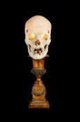A GENUINE HUMAN SKULL LAMP