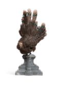 A TAXIDERMY PEACOCK PHEASANT (POLYPLECTRON BICALCARATUM)