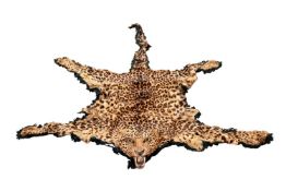 TAXIDERMY: A 1930'S INDIAN LEOPARD SKIN RUG (PANTHERA PARDUS FUSCA)