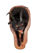 THE DEVIL'S FAMILIAR (VULPES VULPES)