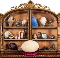 Objects of Wonder: Including Relics of Extinct Beasts