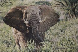 Penkridge Auction Rooms Antique & Interiors Online Only Auction