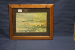 FRAMED WATERCOLOUR OF A TROUT, WITH A FISHING FLY