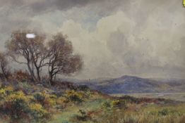A GILT FRAMED AND GLAZED WATERCOLOUR OF AN EXTENSIVE LANDSCAPE SIGNED J. CLINTON JONES 1903