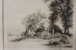 AN ETCHING OF A MAN FEEDING PIGS SIGNED WILLIAM PALMER ROBBINS