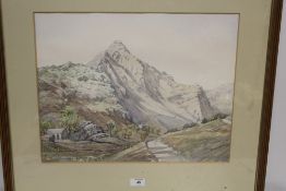 A FRAMED AND GLAZED WATERCOLOUR OF A MOUNTAINOUS SCENE SIGNED HARRY GIBBERD TOGETHER WITH A FRAMED