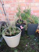 A PAIR OF TALL SQUARE MODERN PLANTERS AND A GREEN RIBBED CERAMIC PLANTER (3)