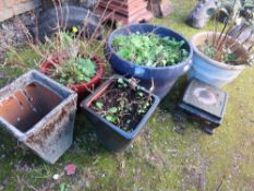 FIVE ASSORTED GLAZED GARDEN PLANTERS TO NC A BLUE EXAMPLE (5)