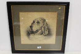 A FRAMED AND GLAZED PORTRAIT STUDY OF A SPANIEL DOG 33 X 35 CM