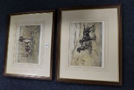 TWO FRAMED & GLAZED SIGNED LIMITED EDITION GUN DOG PRINTS 36 X 27.5 CM