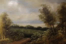 A PAIR OF GILT FRAMED OIL ON CANVAS RURAL SCENES - H 29.5 CM W 60 CM